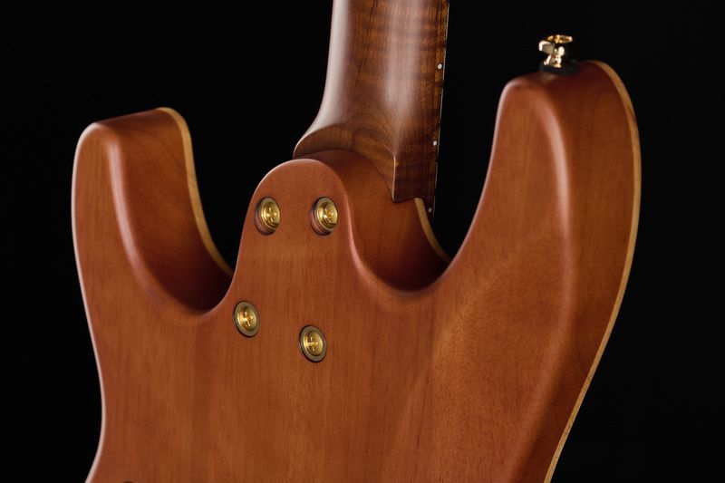 Harley Benton Guitar MAX Fusion Signature WN 593728 фото
