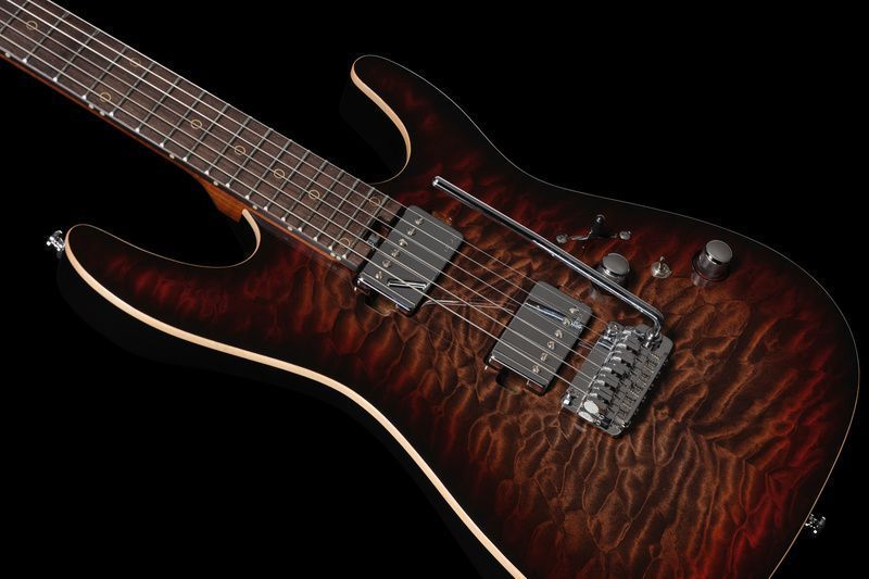 Harley Benton Fusion-IV HH RW QDG 618120 фото