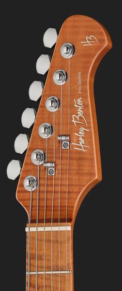 Harley Benton Fusion-IV HH MN QDG 618108 фото