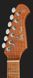 Harley Benton Fusion-IV HH MN QDG 618108 фото 6