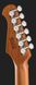 Harley Benton Fusion-IV HH MN QDG 618108 фото 7