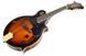 Мандоліна Harley Benton HBMA-100E- VS 277634 фото 3