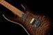 Harley Benton Fusion-IV HH MN QDG 618108 фото 11