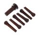 Harley Benton Parts Bridgepin Set TL Plain 267037 фото 1