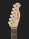 Harley Benton TE-20 SB Standard Serie Set 1 240782 фото 6