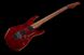 Harley Benton Fusion-III HH FR Roast. w/Case 544827 фото 9