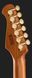 Harley Benton Fusion-IV HSH MN FBB 618058 фото 7