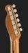 Harley Benton TE-62CC SFG Bundle 540840 фото 7