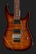 Harley Benton Fusion-III HH FR EB FBB Bundle 544748 фото 4