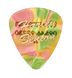 Harley Benton Guitar Pick Heavy 5 Pack 197469 фото 2