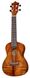 Harley Benton Koa Kahuna Scout Ukulele Set 422057 фото 2