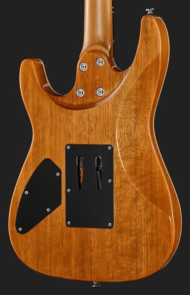 Harley Benton Fusion-IV HH RW FR QBLB 618137 фото