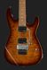 Harley Benton Fusion-III HH FR Roasted FBB 521209 фото 4