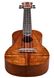 Harley Benton Koa Kahuna Scout Ukulele Set 422057 фото 4