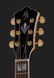 Harley Benton HB Custom Line King-CE Bundle 538107 фото 6