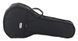 Мандолина Harley Benton HBMA-50 Mandoline BK w/Bag (комплект) 539043 фото 11
