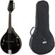 Harley Benton HBMA-50 Mandoline BK w/Bag 539043 фото 1