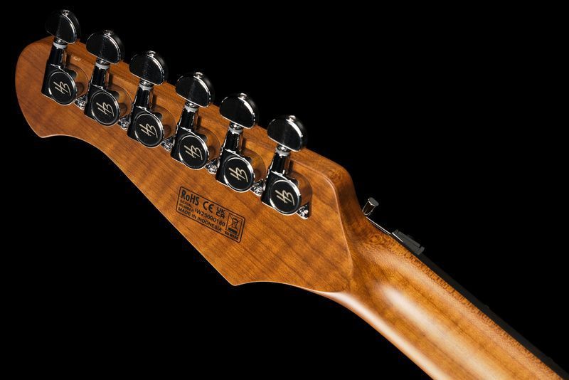 Harley Benton Fusion-IV HH RW FR QBLB 618137 фото