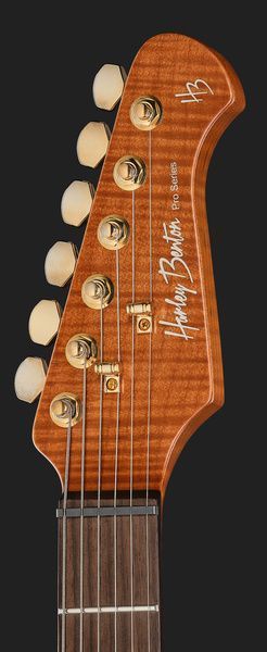 Harley Benton Fusion-IV HSS RW PM 618008 фото