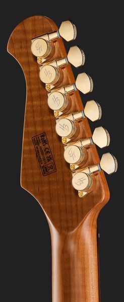 Harley Benton Fusion-IV HSS RW PM 618008 фото