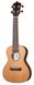 Harley Benton Hawaii Cedar Concert Ukulele 450199 фото 1