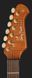 Harley Benton Fusion-IV HSS RW PM 618008 фото 6