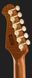 Harley Benton Fusion-IV HSS RW PM 618008 фото 7