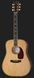 Harley Benton Custom Line CLD-41SE WN w/Case 540432 фото 2