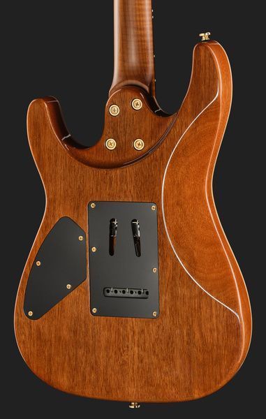 Harley Benton Fusion-IV HSS RW PM 618008 фото