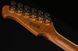 Harley Benton Fusion-IV HSS RW PM 618008 фото 13