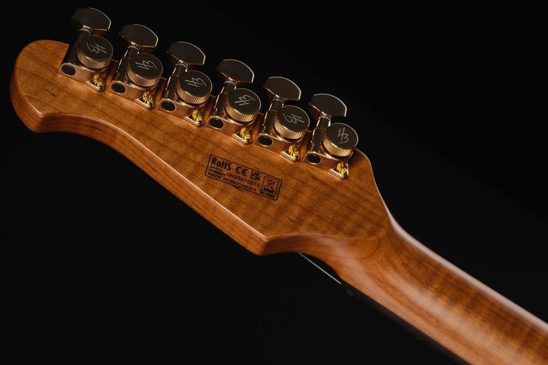 Harley Benton Fusion-IV HSS RW PM 618008 фото