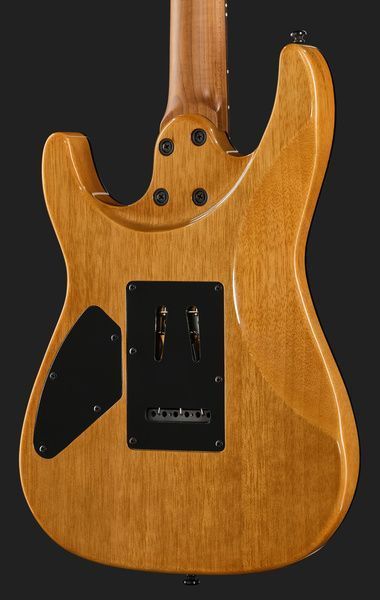 Harley Benton Fusion-IV HSS RW WM 618015 фото