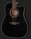 Акустична гітара Harley Benton HB Custom Line CLD-10SC Bundle (комплект) 568261 фото 4