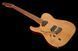 Harley Benton Fusion-T HH LH Roasted Bundle 567725 фото 5