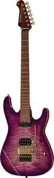 Harley Benton Guitar MAX Fusion Signa w/Case 610822 фото