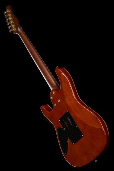 Harley Benton Guitar MAX Fusion Signa w/Case 610822 фото