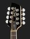 Электромандолина Harley Benton MA-500 VS Bluegrass Series 220549 фото 6