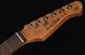 Harley Benton Fusion-IV HH RW QRG 618123 фото 12