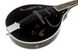 Harley Benton HBMA-50E Mandoline BK 203838 фото 4