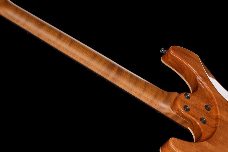 Harley Benton Fusion-IV HH RW QRG 618123 фото