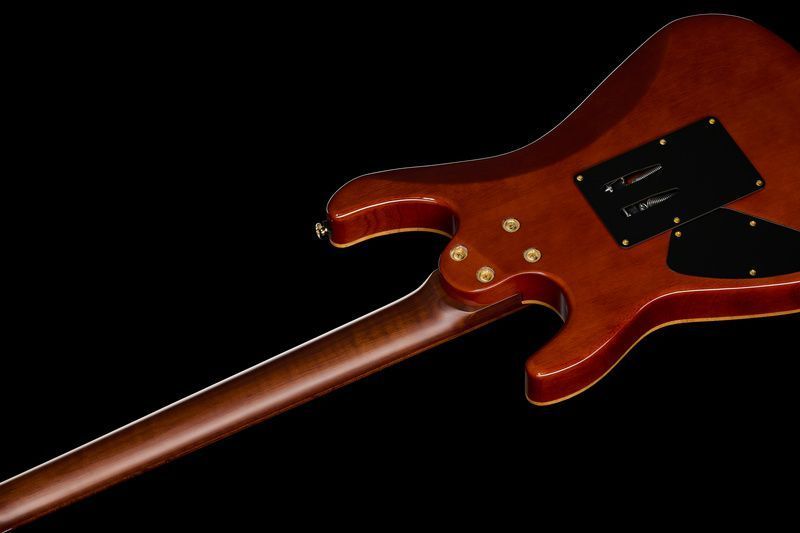 Harley Benton Guitar MAX Fusion Signa w/Case 610822 фото