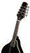 Harley Benton HBMA-50E Mandoline BK w/Bag 539039 фото 8