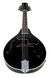 Harley Benton HBMA-50E Mandoline BK w/Bag 539039 фото 4