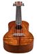 Harley Benton Hawaii Koa Concert Ukul w/Bag 539532 фото 4