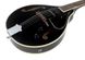 Harley Benton HBMA-50E Mandoline BK w/Bag 539039 фото 5