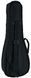 Укулеле Harley Benton Hawaii Cedar Concert Uk Bundle (комплект) 465653 фото 16
