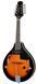 Harley Benton HBMA-50E Mandoline VS 144773 фото 1