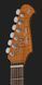 Harley Benton Fusion-IV HSS RW RM 618009 фото 6