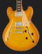 Harley Benton HB-35Plus Lemon Bundle 1 393601 фото 4