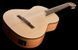 Класина акустична гітара Thomann Fusion Classic Bass 398673 фото 11